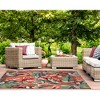 Liora Manne Capri Holiday Indoor/Outdoor Rug.. - 3 of 4