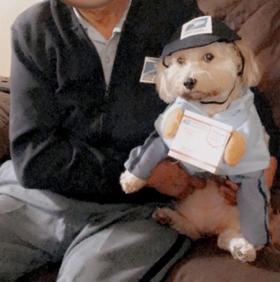 US Mail Carrier Dog Costume - Large