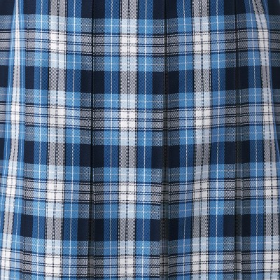 clear blue plaid