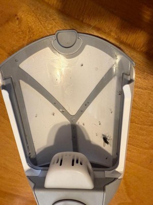 Guest review image 1 of 2, zoom in
