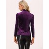 Allegra K Women's Solid Turtleneck Velvet Long Sleeve Work Basic Velour Blouse - 4 of 4