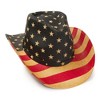 Western Express Red Brown and Blue Americana Straw Western Hat - 2 of 4