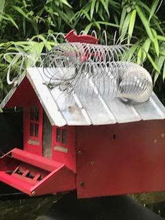 slinky target