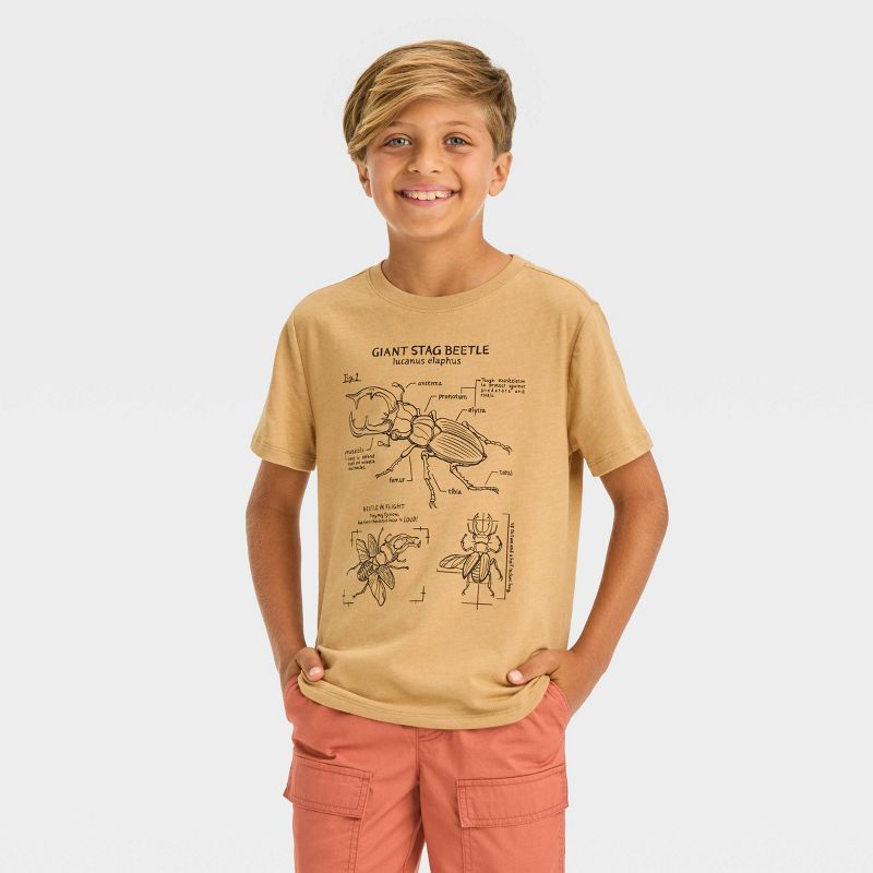 Boys' Short Sleeve Beetles 'Giant Stag Beetle' Graphic T-Shirt - Cat & Jack™ Brown, 1 of 5