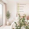 Olive Trees Artificial Indoor, Tall Faux Silk Plant White Planter, Fake Olive Trees with Natural Wood Trunk and Green Fake Moss for Home Office Decor - 3 of 4