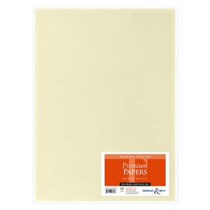 Stillman & Birn Gamma Series - Art Paper - Pack of 1 Sheet - 22 x 30 - 150gsm Ivory Paper - 1 of 1