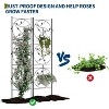 21x72in Metal Garden Trelli for Climbing Rose, Vine, Vegetable & Flower, Rustproof Plant Support for Potted Plant, Houseplant & Patio Gardening, 4Pcs - 3 of 4