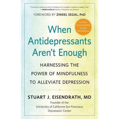 When Antidepressants Aren't Enough - by  Stuart J Eisendrath (Paperback)