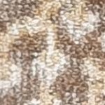 brown/ivory