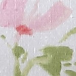 norella-pink/green