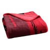 NCAA Texas Tech Red Raiders Digitized 60 x 80 Raschel Throw Blanket - 4 of 4