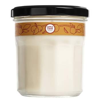 2-Wick 19oz Glass Jar White Spruce Candle - Home Scents