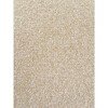 Beige Boucle 14x20 Indoor Outdoor Pillow - 3 of 4