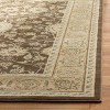 Florenteen FLR127 Power Loomed Indoor Rugs - Safavieh - 3 of 4