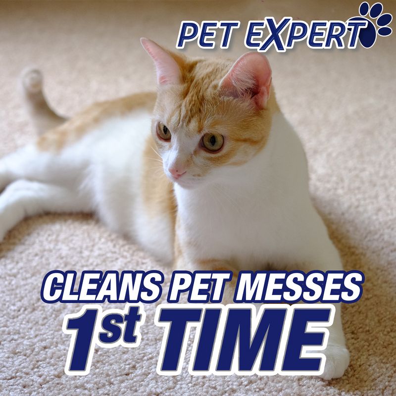 Resolve Pet Stain & Odor Carpet Cleaner Refill, 60 FL Oz Bottle, 4 of 7
