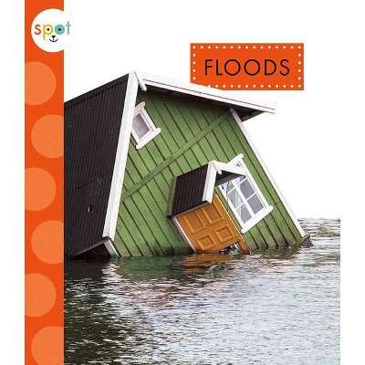 Floods - (Spot Extreme Weather) by  Anastasia Suen (Paperback)