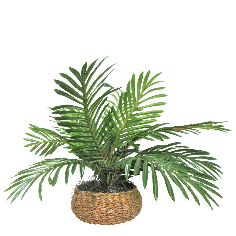 14" x 15" Artificial Palm Plant in Low Basket - LCG Florals: Indoor Polyester Greenery, Round Wicker Basket