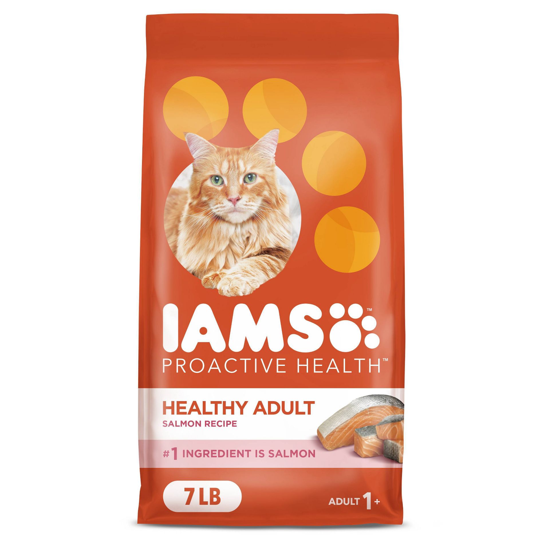 IAMS Proactive Health with Salmon Adult Premium Dry Cat Food - 7lbs