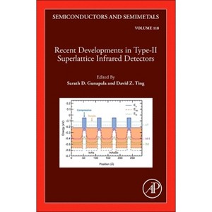 Recent Developments in the Field of IR Detectors - (Semiconductors and Semimetals) (Hardcover) - 1 of 1