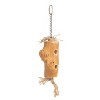Prevue Pet Products Woodpecker Bird Toy - 62821 - 2 of 3