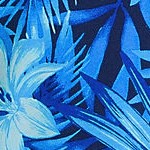electric blue/navy tropic palm