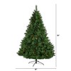 Nearly Natural 7.5-ft West Virginia Full Bodied Mixed Pine Artificial Christmas Tree with 600 Clear LED Lights and Pine Cones - 2 of 4