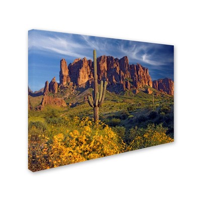 Trademark Fine Art -Mike Jones Photo 'Lost Dutchman flowers' Canvas Art