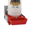 Little Giant 1-Gallon Impact Resistant Translucent Polyethylene Piglet Waterer - 2 of 2