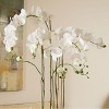 Plum & Post 44" Phalaenopsis Orchid Drop-In Artificial Faux Floral Flower Plant - 3 of 3