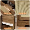 2 Drawer Dresser, Modern Rattan Chest of Drawers, Wood Storage Organizer with Rattan Panel Drawers and Handles, for Nursery, Entryway, Living Room - 4 of 4
