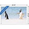 Trends International The Comedy Wildlife Photography Awards: Jennifer Hadley - Talk To The Fin Framed Wall Poster Prints - 3 of 4
