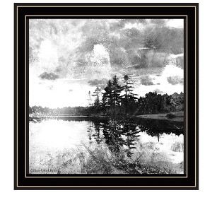 HomeRoots Lakeside Pines Black Framed Print Wall Art - 1 of 4