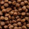 Stella & Chewy's Turkey and Chicken Flavor Wild Red Raw Coated Grain and Legume Free Prairie Recipe Dry Dog Food - 21lbs - 4 of 4