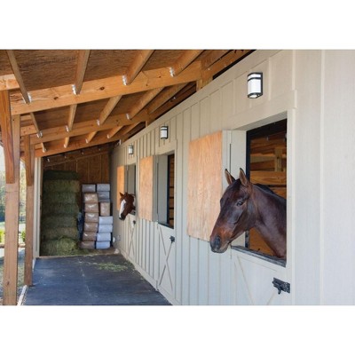 Progress Lighting Valera Collection 2-Light LED Wall Lantern in Brushed Nickel with Matte White Acrylic Shade