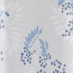 light gray-blue mountain ash