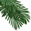 Aghana Digitals 63" Indoor Artificial Cycas Palm - Green Synthetic Plastic, Cylindrical Shape, - 4 of 4