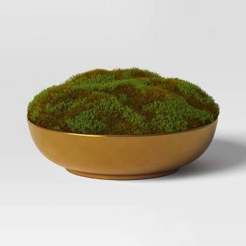 3.5 Artificial Moss In Textured Pot Green - Threshold™ Designed With  Studio Mcgee : Target