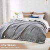 Acekool Heated Blanket, Thick Flannel Soft Blanket, 5 Heat Levels, Auto Off, Machine Washable, Quick Warmth - 2 of 4