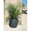 Rosemead Home & Garden Concrete Outdoor Planter Pot Black 16.93"x16.93"x15.16" - 2 of 4