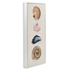 Stupell Industries Traditional Nautical Sea Shells, 10" x 24" - 3 of 4