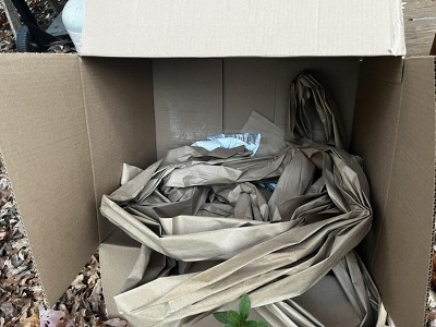 Guest review image 2 of 2, zoom in