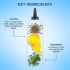 Botanic Hearth Rosemary and Castor Hair Oil for Nourishing and Strengthening Hair - 6.7 fl oz - 3 of 4