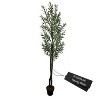 Cypress & Alabaster | Handmade 6' Artificial Young Olive Tree In Home Basics Plastic Pot Made With Real Wood And Moss Accents - 2 of 4