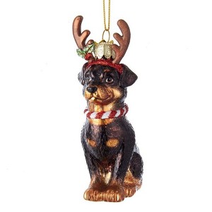 Kurt Adler Noble Gems Glass Ornament for Christmas Tree, Rottweiler with Antlers, 4" - 1 of 4