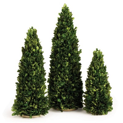 Plum & Post Boxwood Mini Trees, Set Of 3