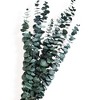 Alilang Decorative Dried Floral Bouquet with Greenery and Textured Accents for Home Decoration, 17.5 Inches - Green - 2 of 4