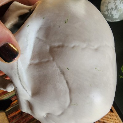 Guest review image 2 of 3, zoom in