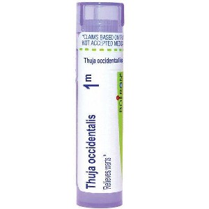 Thuja Occidentalis 1M by Boiron Homeopathic Single Medicine For First Aid  -  80 Pellet - 1 of 4