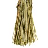 Vickerman 26" Dried Phalaris Bunch, 7 oz - 3 of 3