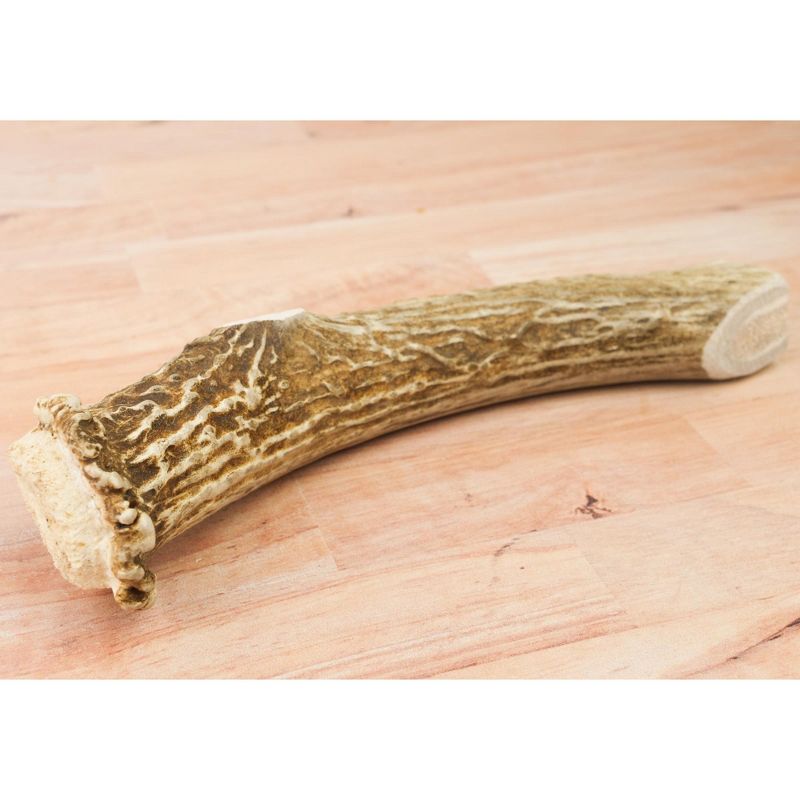 Chasing Our Tails Deer Antler Large for Dogs 1 Count, 2 of 5